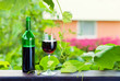 red wine