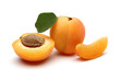 fresh apricot fruits