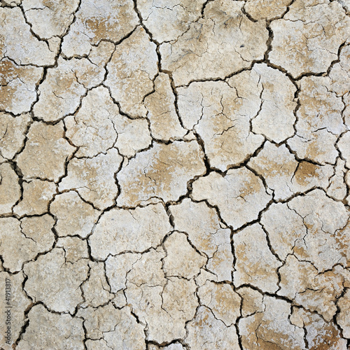 Photo: Earth cracking Earth cracking