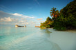 maldives landscape