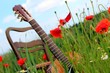 gitarre