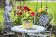Frühlingszeit im Garten