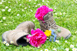 Wanderschuhe bei Rast