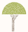 vector illustration of an olive tree