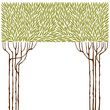 olive trees frame