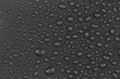 water drops on black