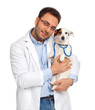 Veterinario & Jack Russell