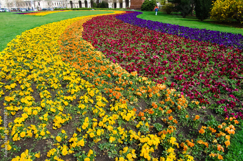 colorful flowerbed in Budapest, Hungary