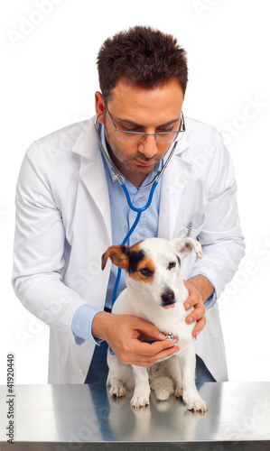 Foto: Dal veterinario Dal veterinario