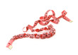 centimetre ribbon lies on a white background