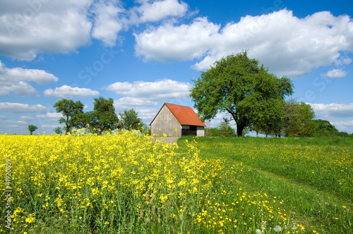 Photo: Scheune im Schwarzwald Scheune im Schwarzwald