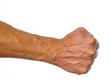 Fist