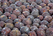 Herbs: Dried high juniper (Juniperus excelsq) berries
