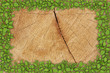 Old wooden background with green floral frame Old wooden background with green floral frame