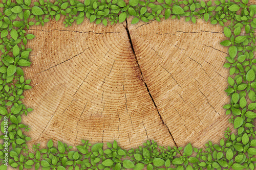 Illustration: Old wooden background with green floral frame Old wooden background with green floral frame