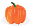 Orange Capsicum Pepper