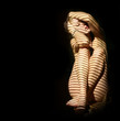 Photo: nude woman in the dark nude woman in the dark