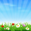 Sunburst Background With Flower And Grass