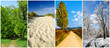 Four Seasons Landscape