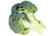Close-up of broccoli on a white background