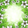 Floral Framing Floral Framing