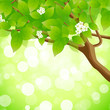 Green Background Green Background