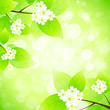 Green Background Green Background