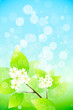 Background with Tree Branch Background with Tree Branch