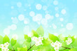 Background with Tree Branch Background with Tree Branch