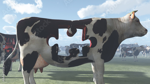Illustration: Cow Puzzle Cow Puzzle
