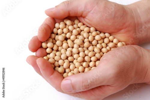 Photo: soybeans soybeans
