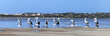 panorama with pelicans inside the sea panorama with pelicans inside the sea