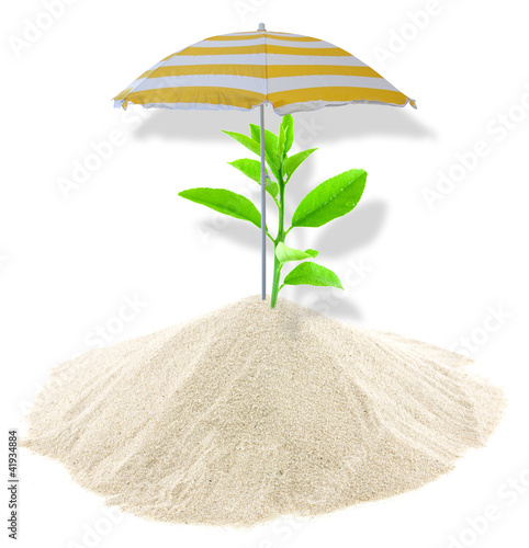 Foto: concept protection environnement concept protection environnement