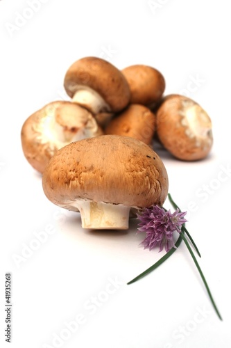 Foto: Champignons mit blühendem Schnittlauch Champignons mit blühendem Schnittlauch