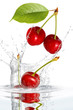 Obst 402