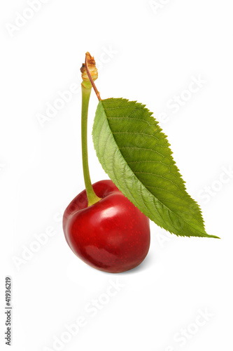 Foto: Obst 421 Obst 421
