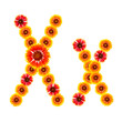 letter of letter of