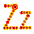letter of letter of