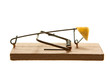 Mouse trap with cheese isolated in white background Mouse trap with cheese isolated in white background