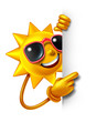 Sun Fun With Blank Sign