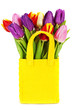 fresh tulips