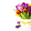 fresh tulips