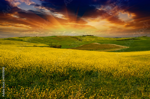 Photo: Landscape and Meadows of Tuscany, Spring Season Landscape and Meadows of Tuscany, Spring Season