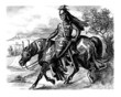 Knight 14th century - Chevalier