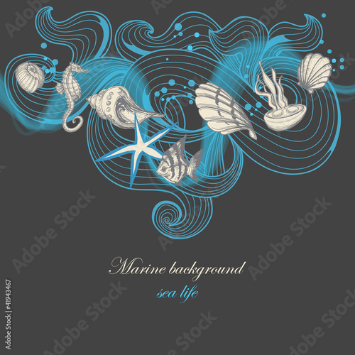 Vetor: Marine background, sea life elements Marine background, sea life elements