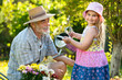 Photo: Gardening Gardening