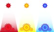 Sun flower