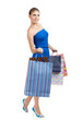 Shopaholic Shopaholic