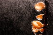 Orange mushroom on the raining Orange mushroom on the raining