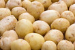 Fresh potatoes Fresh potatoes